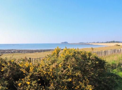 Les plages côté Océan